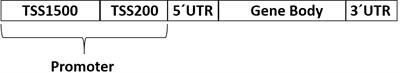 Complex molecular profile of DNA repair genes in epithelial ovarian carcinoma patients with different sensitivity to platinum-based therapy